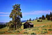Photo: Wild Horse Island Unit - Flathead Lake State Park