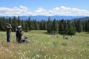 Photo: Wild Horse Island Unit - Flathead Lake State Park