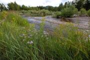 Photo: Council Grove State Park