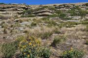 Photo of First Peoples Buffalo Jump State Park