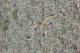Photo of All About Snakes