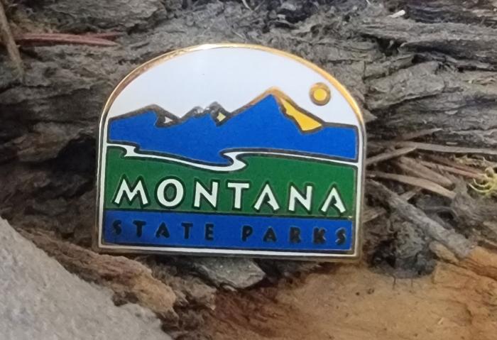 Online - Lapel Pin-MSP-Lapel-Pin